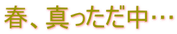 春、真っただ中…