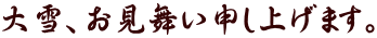 大雪、お見舞い申し上げます。