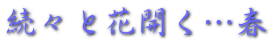 続々と花開く…春